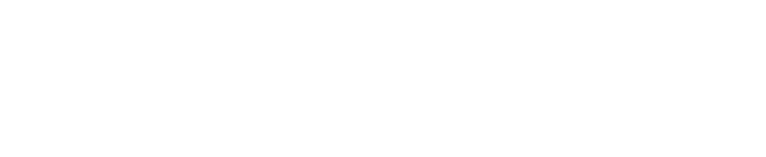 Performa Srl