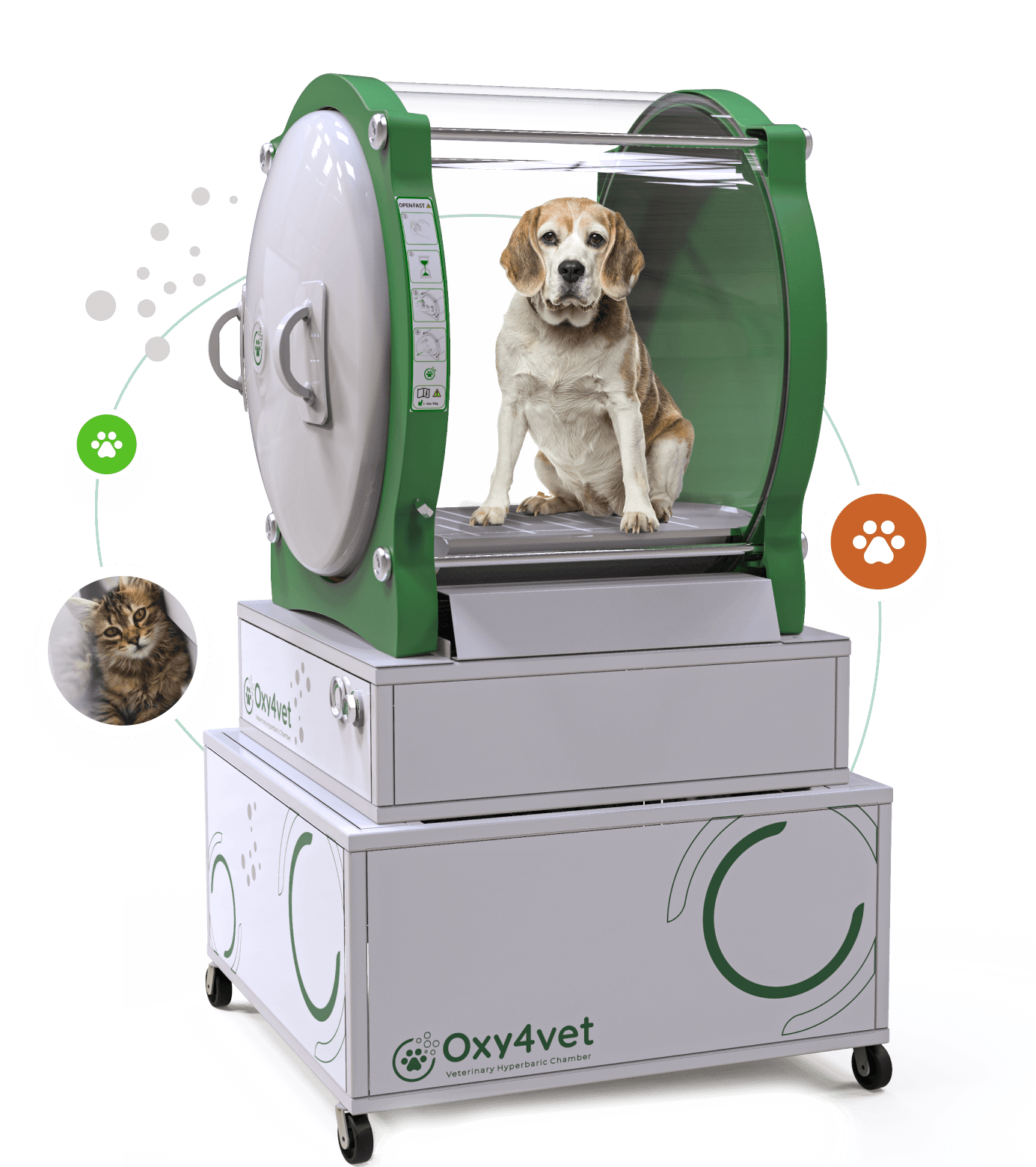 Camera iperbarica veterinaria Oxy4vet